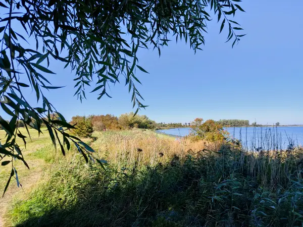 202309060-17 - Wismarer Bucht bei Hoben, Mecklenburgische Ostseeküste, Mecklenburg-Vorpommern, Deutschland