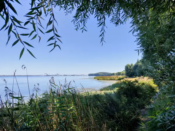 202309060-18 - Wismarer Bucht bei Hoben, Mecklenburgische Ostseeküste, Mecklenburg-Vorpommern, Deutschland