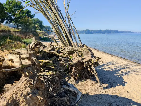 202309060-02 - Wismarer Bucht bei Zierow, Mecklenburgische Ostseeküste, Mecklenburg-Vorpommern, Deutschland