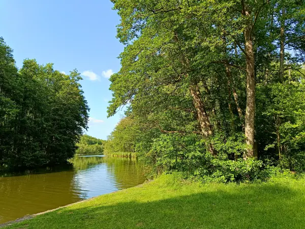 202506110-23 - Woblitz bei Pian, Ruppiner Seenland, Brandenburg, Deutschland