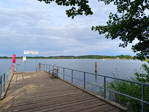 202606060-46 - Woblitzsee bei Wesenberg, Mecklenburgische Seenplatte, Mecklenburg-Vorpommern, Deutschland