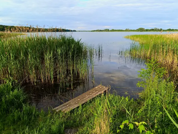 202606060-50 - Woblitzsee bei Wesenberg, Mecklenburgische Seenplatte, Mecklenburg-Vorpommern, Deutschland