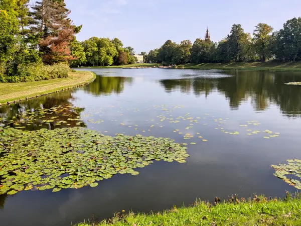 202310110-09 - Wörlitzer See im Wörlitzer Park bei Wörlitz, Anhalt-Dessau-Wittenberg, Sachen-Anhalt, Deutschland