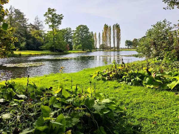202310110-10 - Wörlitzer See im Wörlitzer Park bei Wörlitz, Anhalt-Dessau-Wittenberg, Sachen-Anhalt, Deutschland