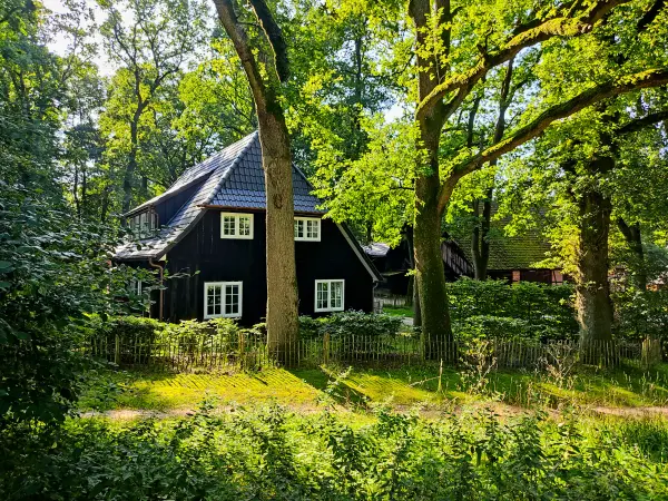 202308210-03 - Wohnhäuser in Overhaverbeck, Lüneburger Heide, Niedersachsen, Deutschland
