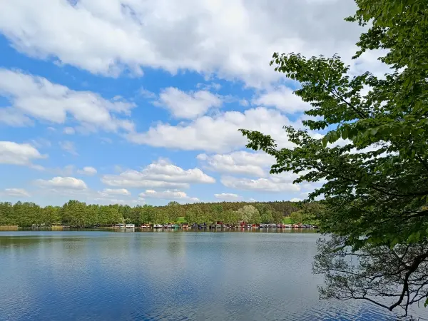 202605090-18 - Wolletzsee, Uckermark, Brandenburg, Deutschland