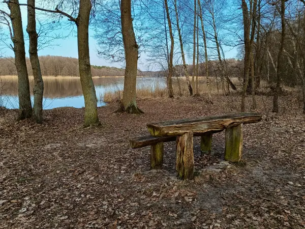 202603230-26 - Wolzensee bei Rathenow, Havelland, Brandenburg, Deutschland
