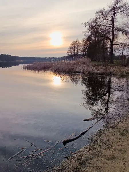 202603230-29 - Wolzensee bei Rathenow, Havelland, Brandenburg, Deutschland