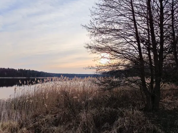 202603230-30 - Wolzensee bei Rathenow, Havelland, Brandenburg, Deutschland