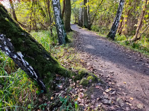 202310230-10 - Wotschofskaweg bei Lübbenau, Spreewald, Brandenburg, Deutschland