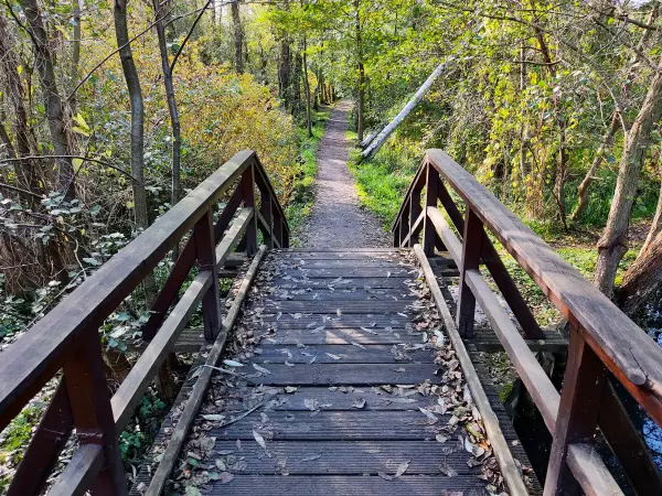 202310230-12 - Wotschofskaweg bei Lübbenau, Spreewald, Brandenburg, Deutschland