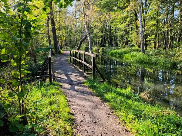 202310230-14 - Wotschofskaweg bei Lübbenau, Spreewald, Brandenburg, Deutschland