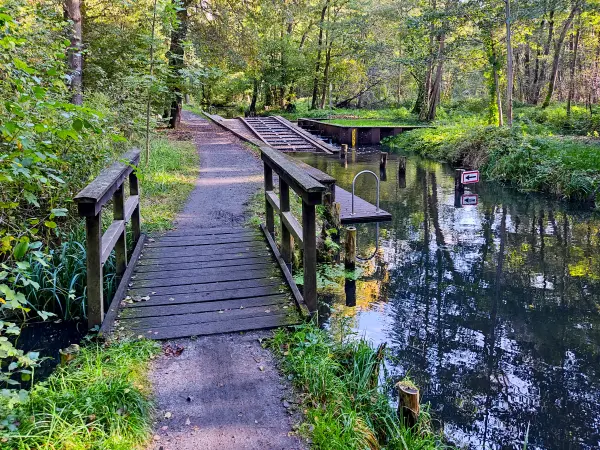 202310230-19 - Wotschofskaweg bei Lübbenau, Spreewald, Brandenburg, Deutschland