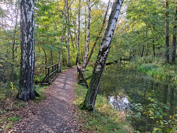 202310230-25 - Wotschofskaweg bei Lübbenau, Spreewald, Brandenburg, Deutschland