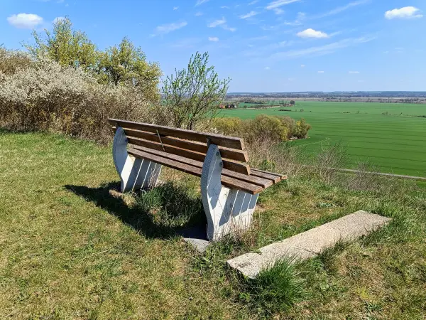202604150-19 - Wuhdener Bank bei Wuhden, Seenland Oder-Spree, Brandenburg, Deutschland
