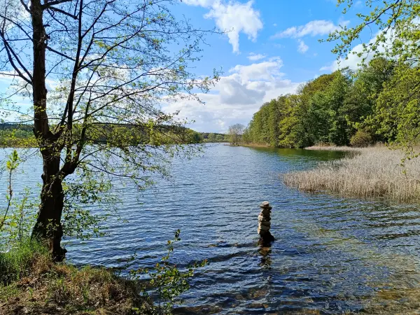 202605040-22 - Wustrowsee bei Sternberg, Mecklenburgische Seenplatte, Mecklenburg-Vorpommern, Deutschland