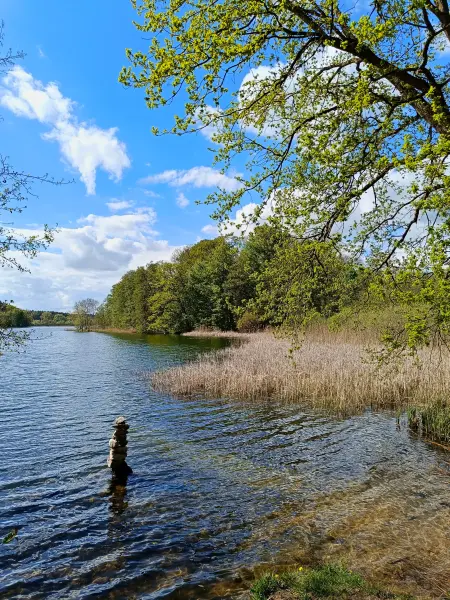 202605040-23 - Wustrowsee bei Sternberg, Mecklenburgische Seenplatte, Mecklenburg-Vorpommern, Deutschland