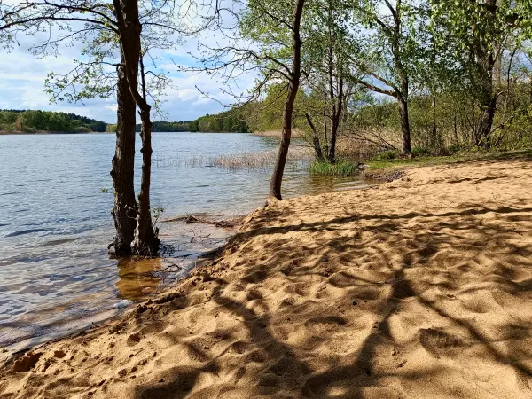 202605040-25 - Wustrowsee bei Sternberg, Mecklenburgische Seenplatte, Mecklenburg-Vorpommern, Deutschland