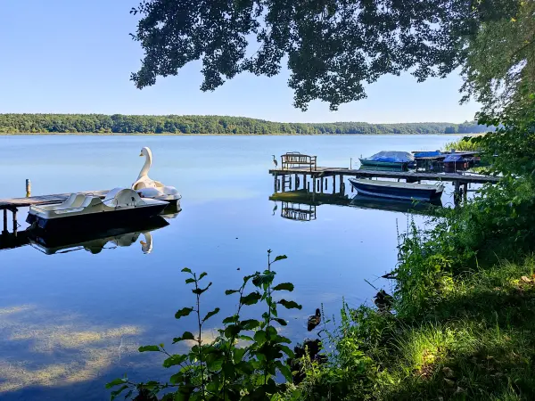 202309040-03 - Wutzsee bei Lindow, Ruppiner Seenland, Brandenburg, Deutschland