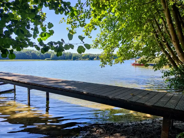 202309040-15 - Wutzsee bei Lindow, Ruppiner Seenland, Brandenburg, Deutschland