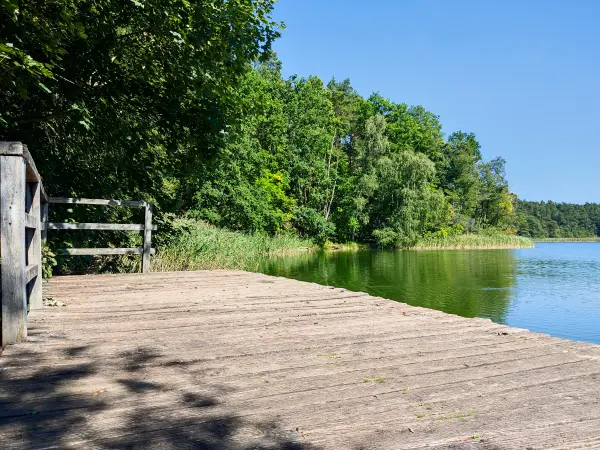 202309040-17 - Wutzsee bei Lindow, Ruppiner Seenland, Brandenburg, Deutschland