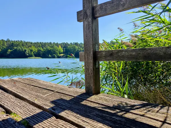 202309040-18 - Wutzsee bei Lindow, Ruppiner Seenland, Brandenburg, Deutschland