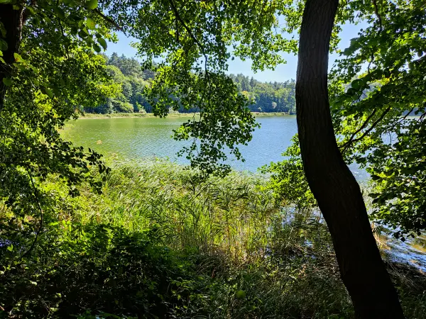 202309040-20 - Wutzsee bei Lindow, Ruppiner Seenland, Brandenburg, Deutschland
