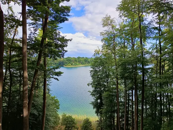 202606090-08 - Zansen-Blick im Hullerbusch bei Feldberg, Mecklenburgische Seenplatte, Mecklenburg-Vorpommern, Deutschland