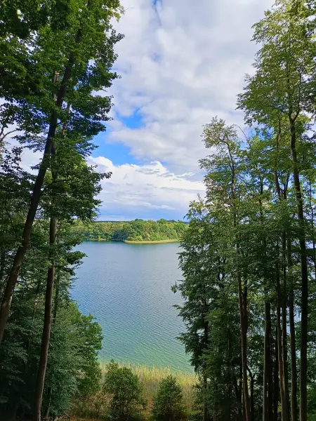 202606090-09 - Zansen-Blick im Hullerbusch bei Feldberg, Mecklenburgische Seenplatte, Mecklenburg-Vorpommern, Deutschland