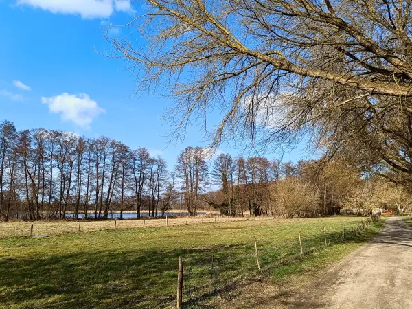 202603120-15 - Zernausee bei Mützel, Elbe-Börde-Heide, Sachsen-Anhalt, Deutschland