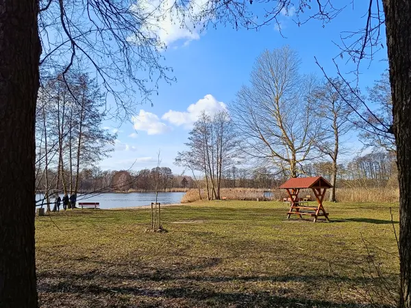 202603120-16 - Zernausee bei Mützel, Elbe-Börde-Heide, Sachsen-Anhalt, Deutschland