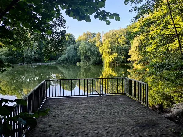 202308221-21 - Ziegeleiteich in Klein Flottbek, Hamburg, Deutschland