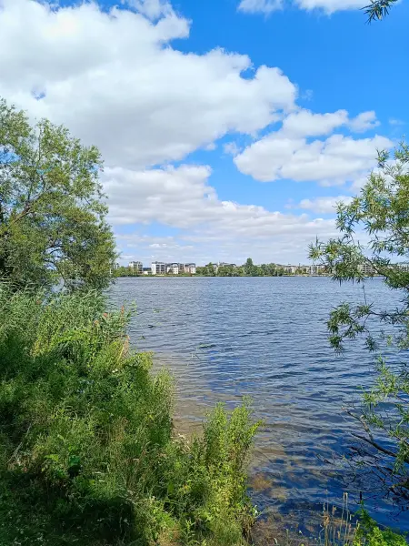 202507030-07 - Ziegelsee in Schwerin, Mecklenburgische Seenplatte, Mecklenburg-Vorpommern, Deutschland