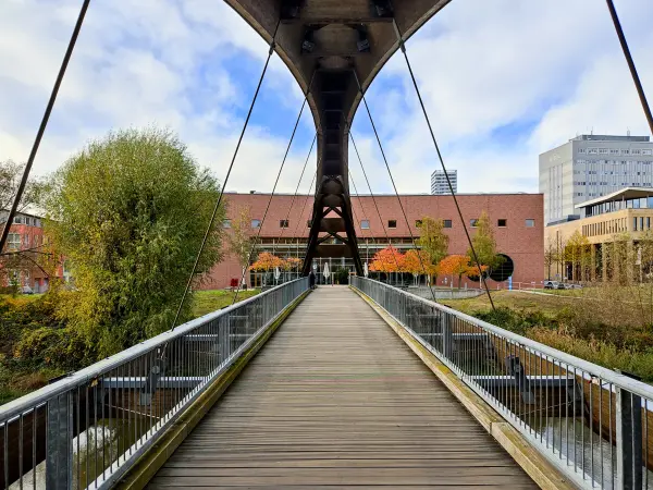 202311020-10 - Ziegenwerderbrücke in Frankfurt (Oder), Seenland Oder-Spree, Brandenburg, Deutschland