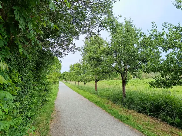 202506070-22 - Zingergrabenniderung bei Blankenfelde, Berlin, Deutschland