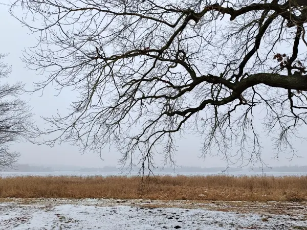 202602070-09 - Zugefrorene Havel am Schlosspark Sacrow, Potsdam, Brandenburg, Deutschland