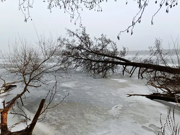 202602070-22 - Zugefrorene Havel bei Sacrow, Potsdam, Brandenburg, Deutschland