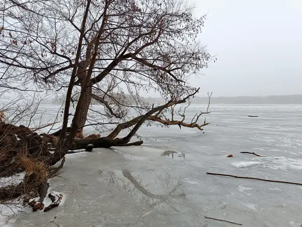 202602070-23 - Zugefrorene Havel bei Sacrow, Potsdam, Brandenburg, Deutschland