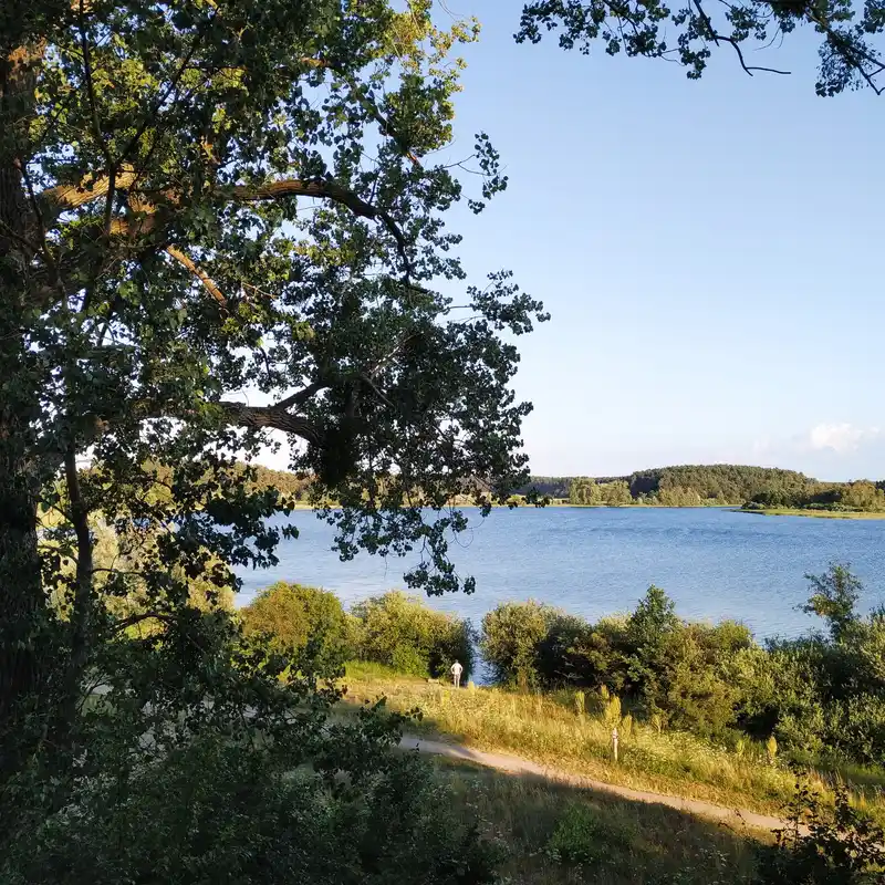 Runde durch den Müritz-Nationalpark zu den Wienpietschseen und dem Feisnecksee