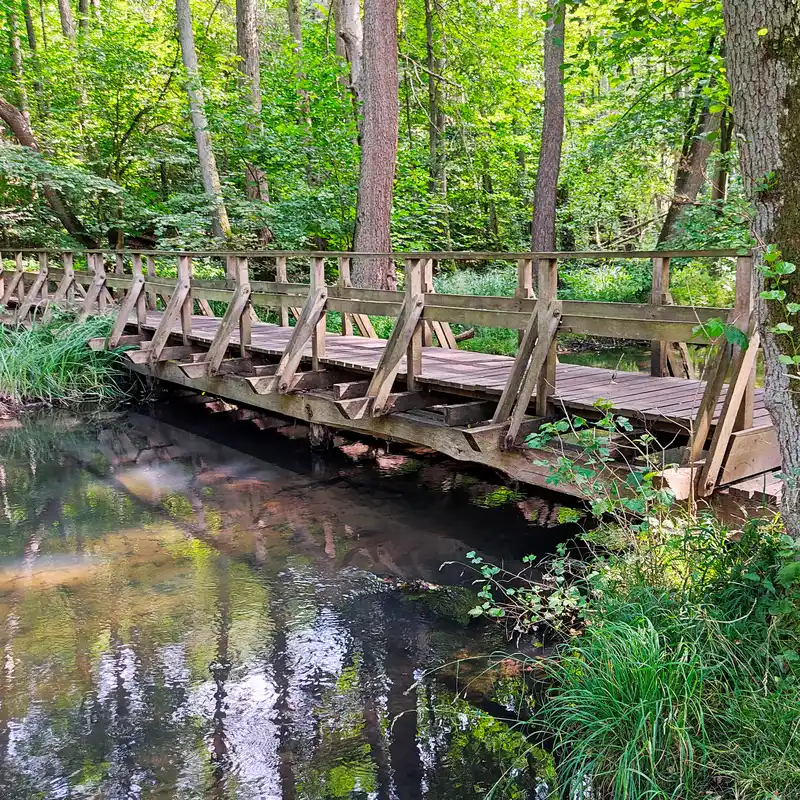 Brücke über die Schwärze