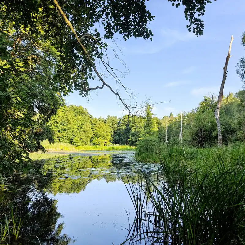 Lagersee