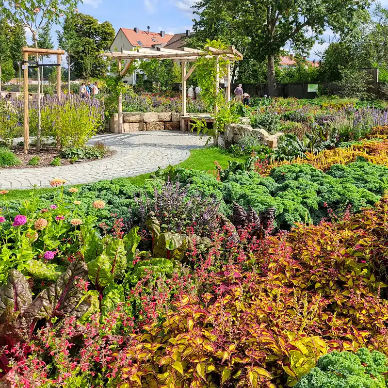 Themengarten mit Sommerblumen