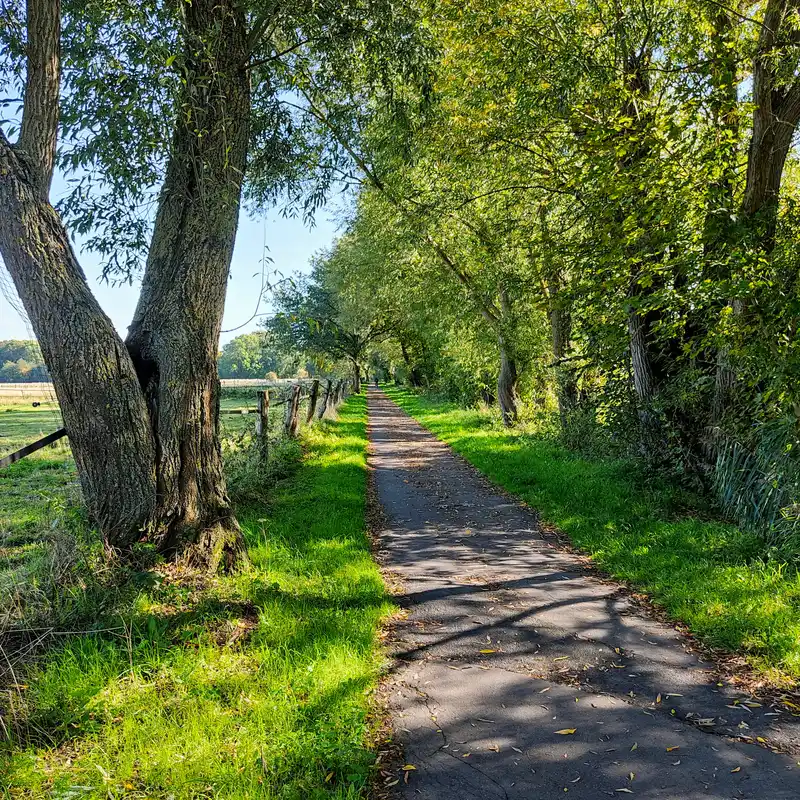 Wanderweg an der Oker