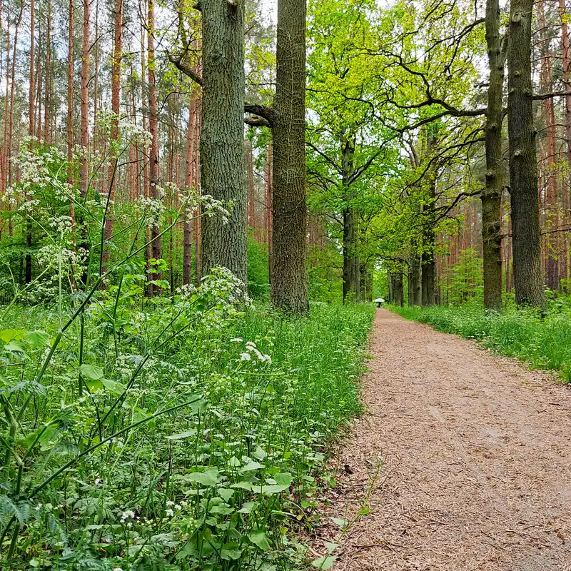 Reiherberg, Wublitz und Golmer Luch – Runde im Nordwesten von Potsdam