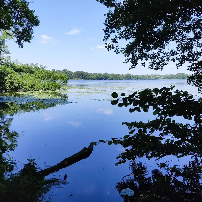 See-Hopping und Waldbaden im Dahme-Seenland