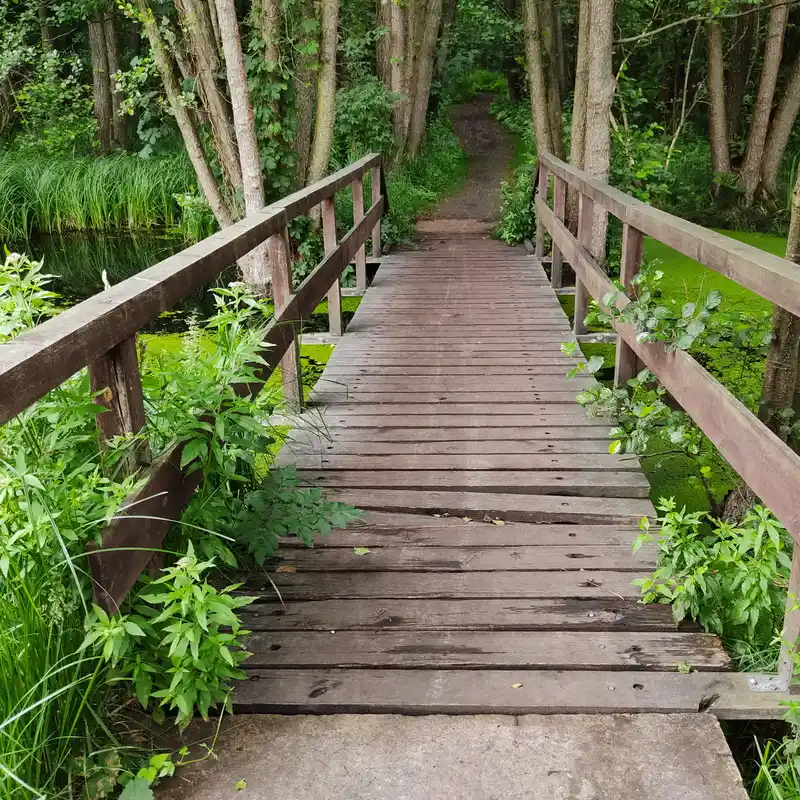 Durch das wilde Briesetal von Zühlsdorf nach Birkenwerder