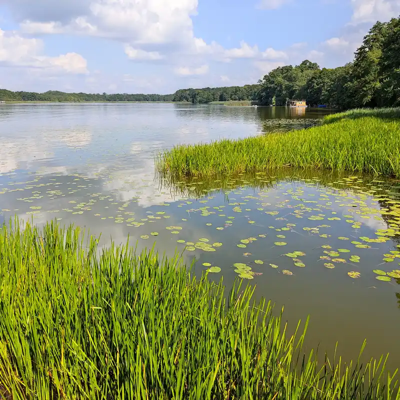 Am Ruppiner See von Altfriesack über Wustrau nach Neuruppin