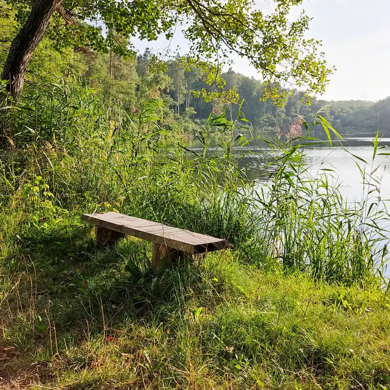 Durch naturnahe Wälder mit Seen, Bächen und Mooren zum Kloster Chorin