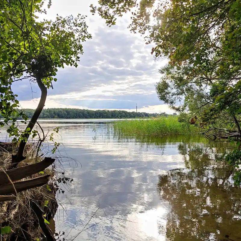 Ruppiner See