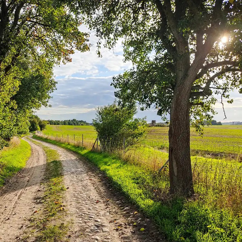 Wanderweg nach Senftenhütte